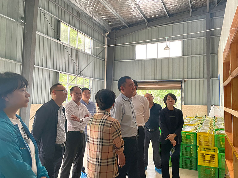 湖北省恩施州林業(yè)局局長(zhǎng)鄧升志來(lái)我公司調(diào)研工作 湖北山茶油廠家