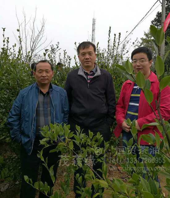 我公司參加全國(guó)油茶產(chǎn)業(yè)發(fā)展技術(shù)培訓(xùn) 湖北有機(jī)山茶油