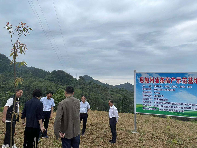 湖北省恩施州林業(yè)局局長(zhǎng)鄧升志來(lái)我公司調(diào)研工作 湖北山茶油廠家