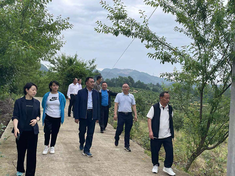 湖北省恩施州林業(yè)局局長(zhǎng)鄧升志來(lái)我公司調(diào)研工作 湖北山茶油廠家