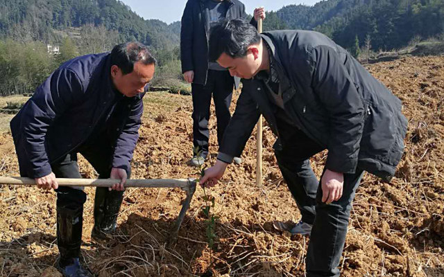 2018年3月9號(hào)政協(xié)大地龍基地圖片