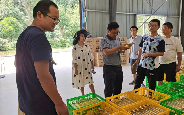 2020年8月5日省林科院領(lǐng)導(dǎo)來公司視察