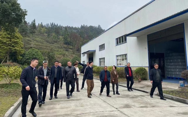 2023年3月7日省林業(yè)局黨組書(shū)記、局長(zhǎng)王昌友一行到來(lái)鳳調(diào)研